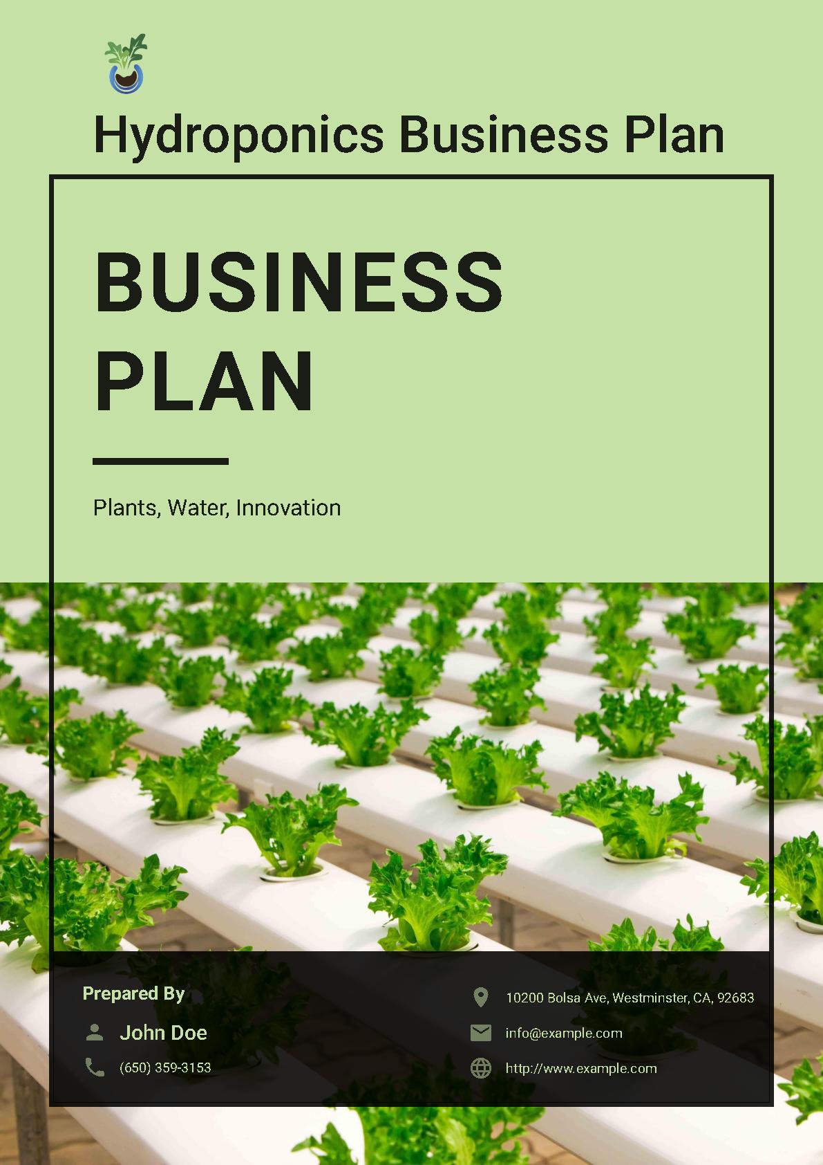 hydroponics business plan doc