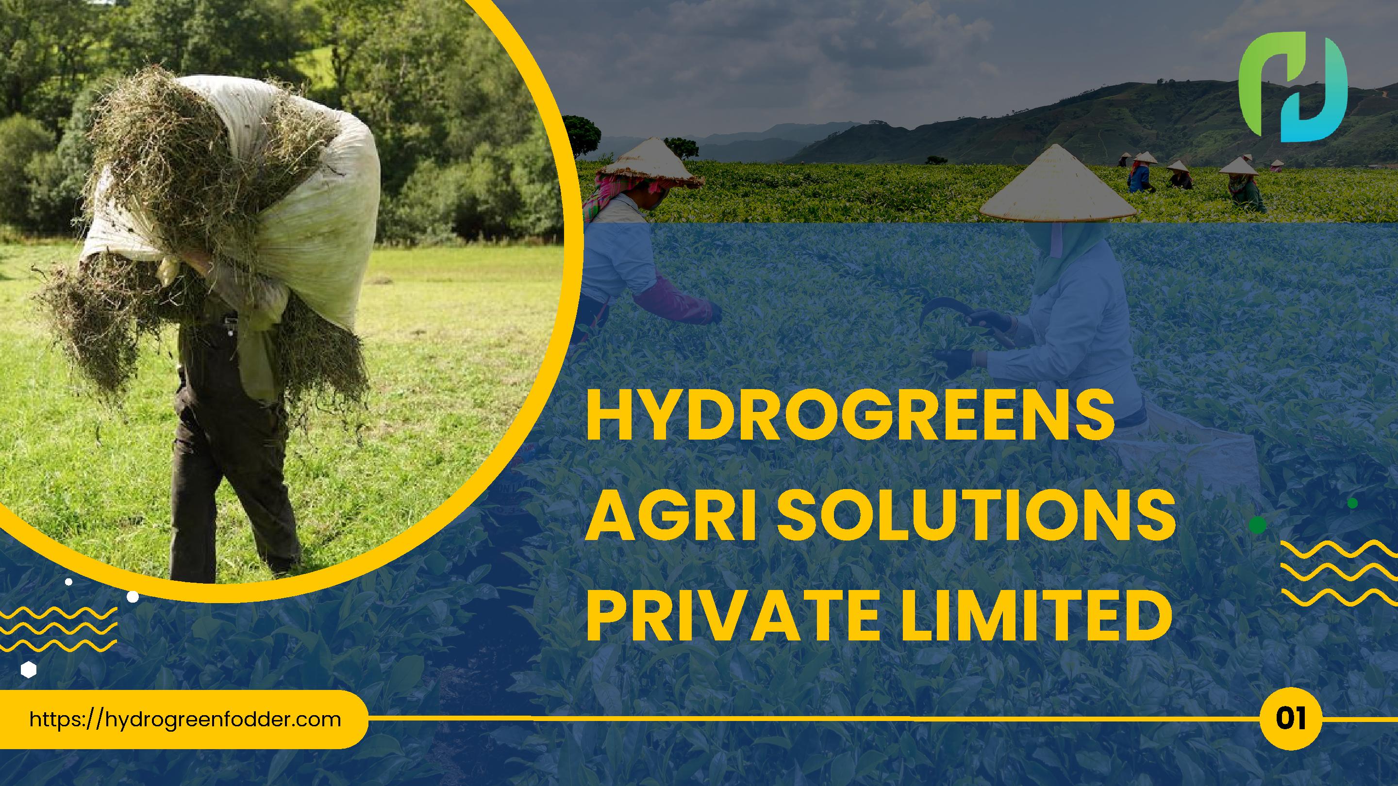 voyage agri solutions private limited products