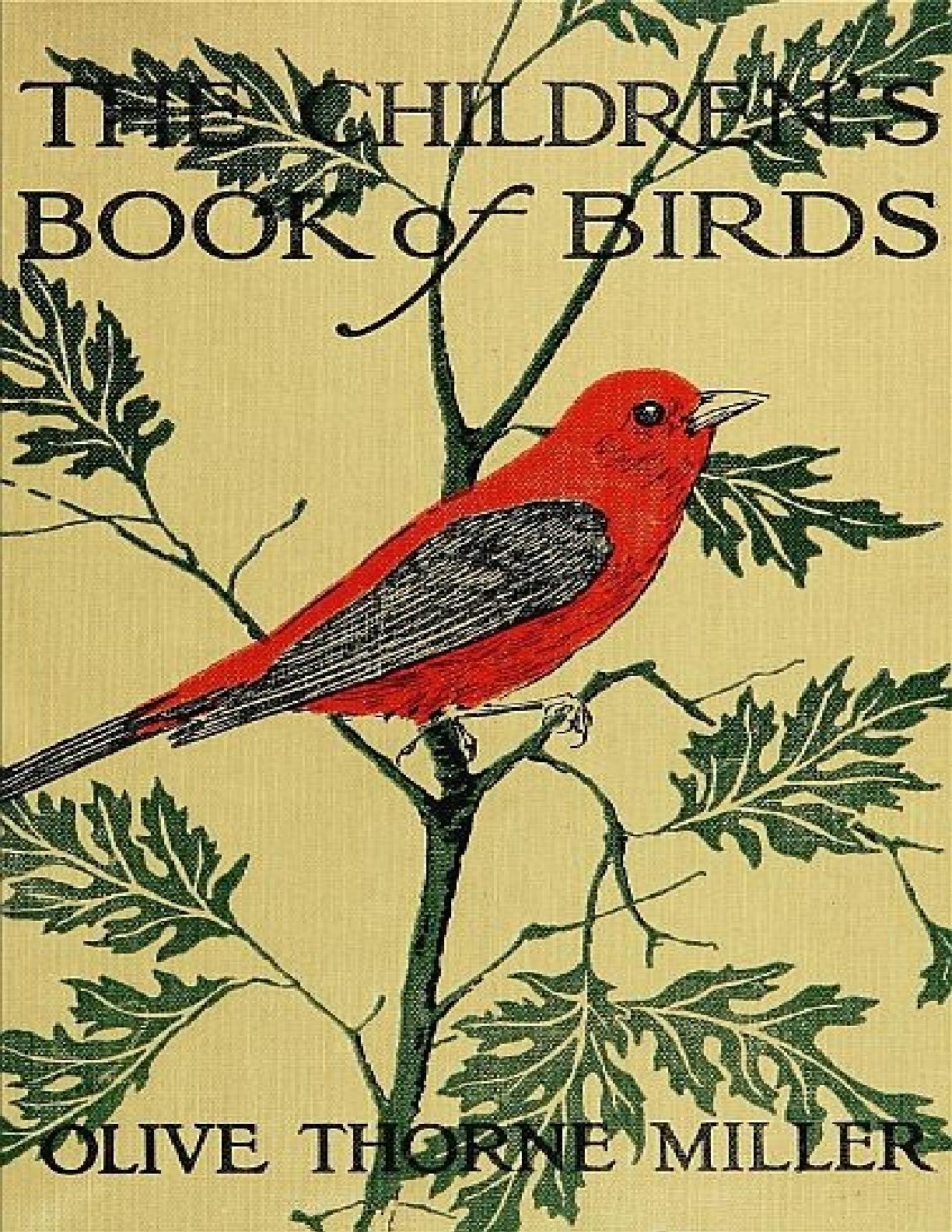 The bird of us. Обложка книги иллюстрация птиц. Book Bird. Райт м. птицы обложка книги. Белая птичка обложка книги.