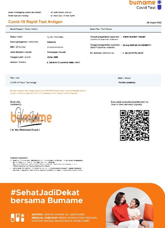 PDF document image preview