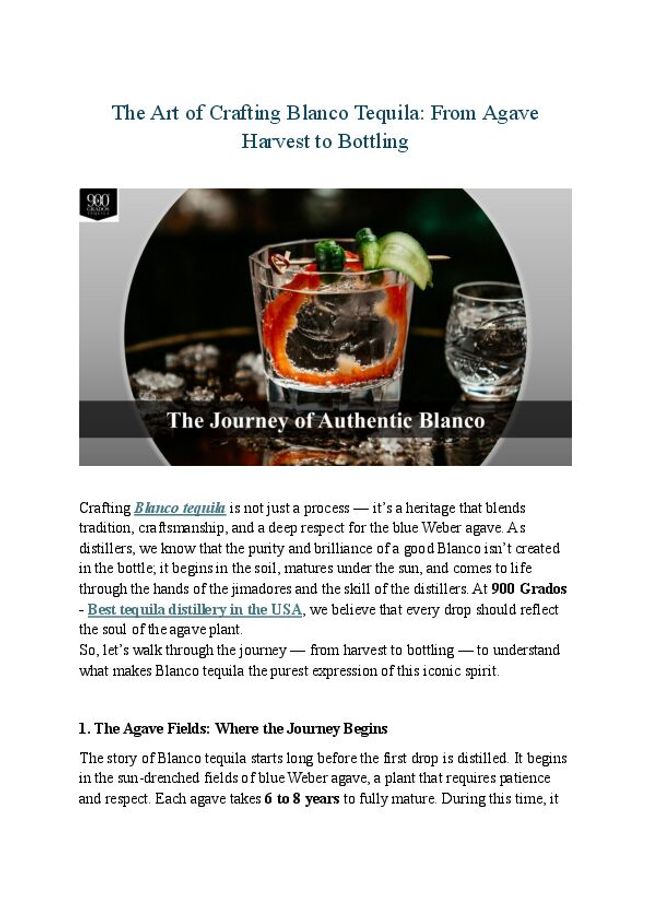 PDF document image preview