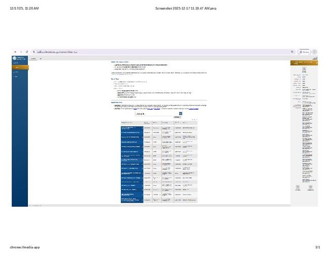 PDF document image preview