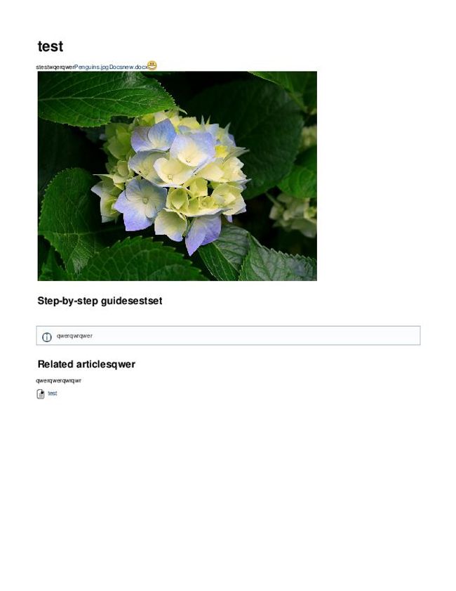 PDF document image preview