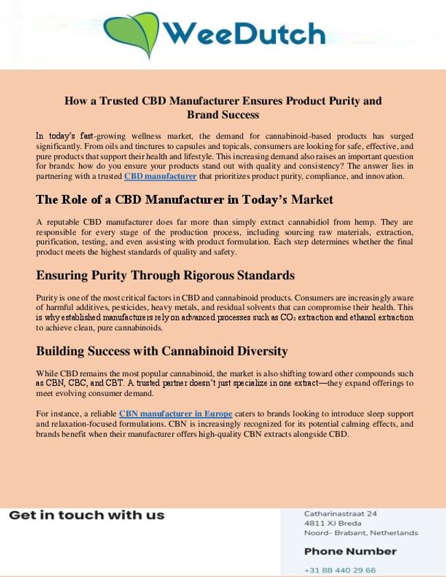 PDF document image preview