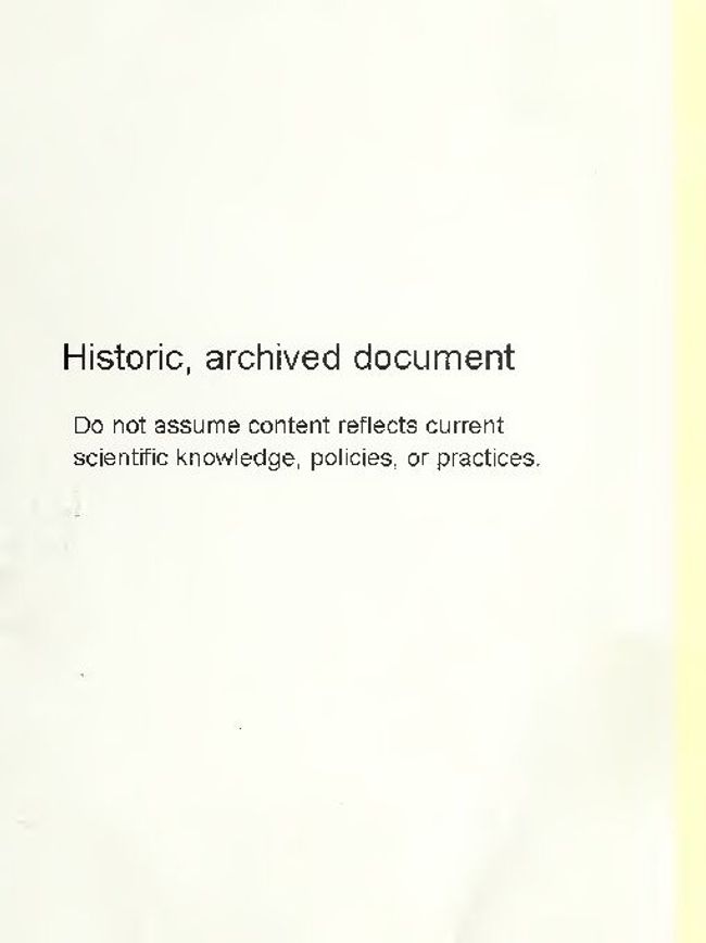 PDF document image preview