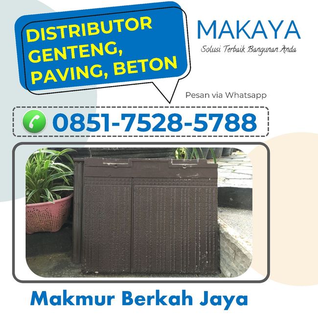 PDF document image preview