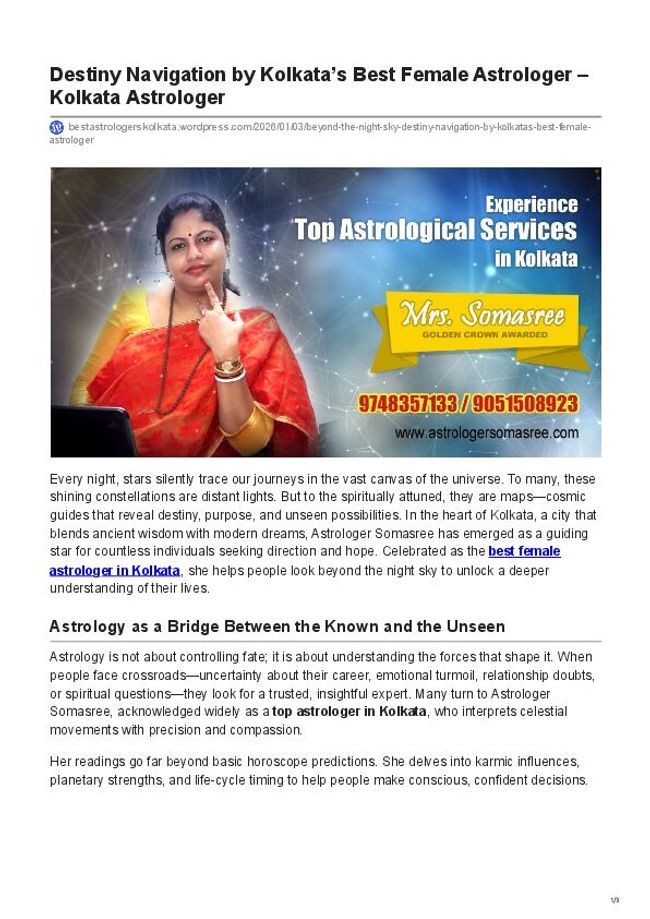 PDF document image preview