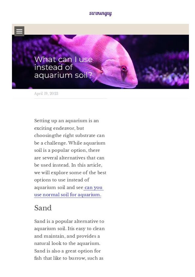 PDF document image preview