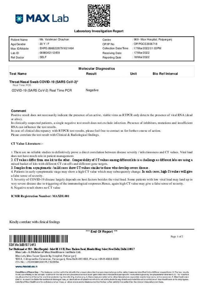 PDF document image preview