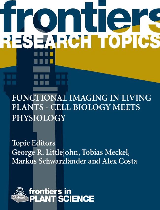 PDF document image preview