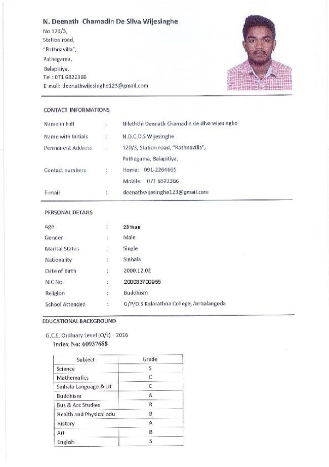 PDF document image preview