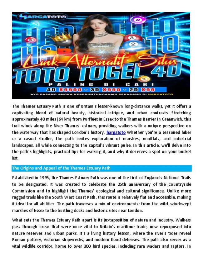 PDF document image preview