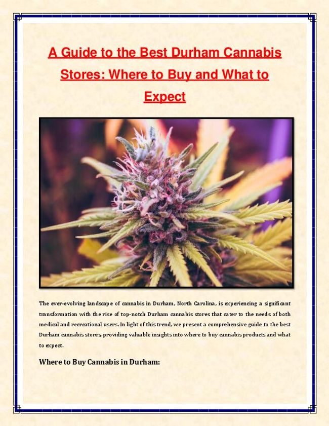 PDF document image preview