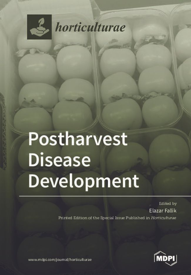 PDF document image preview