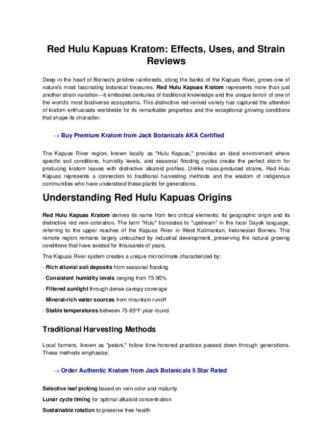 PDF document image preview