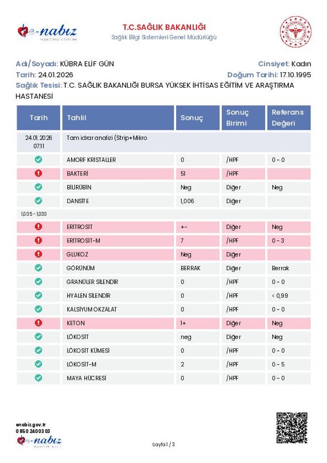 PDF document image preview