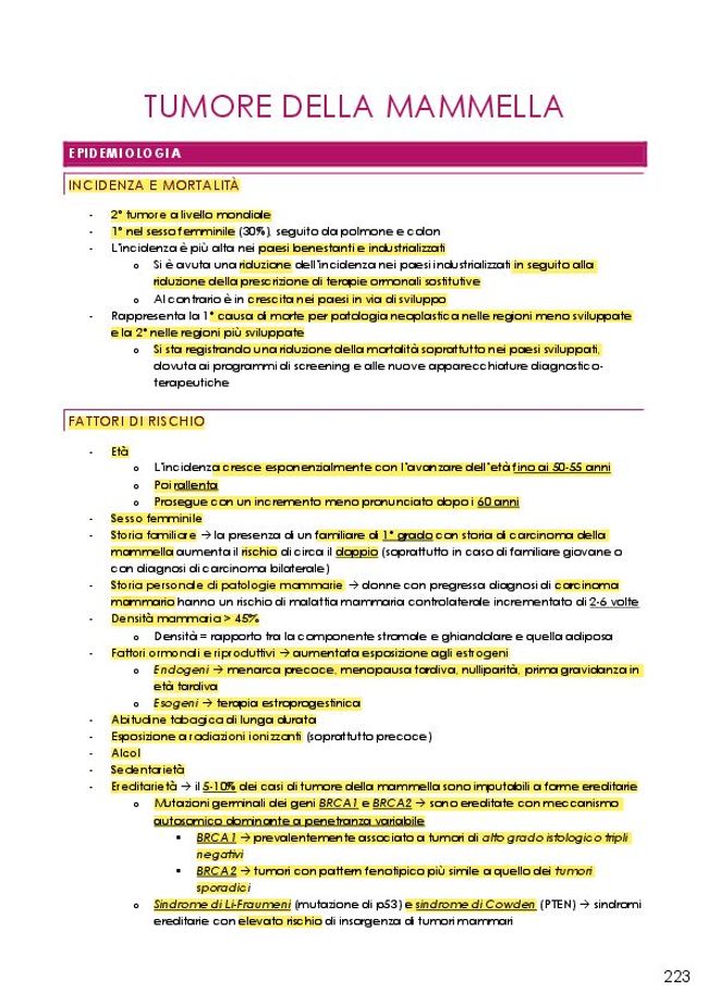 PDF document image preview