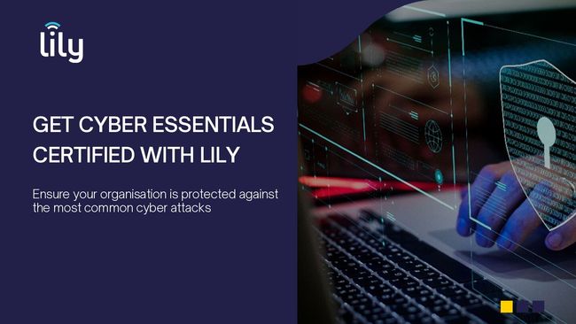 PDF document image preview