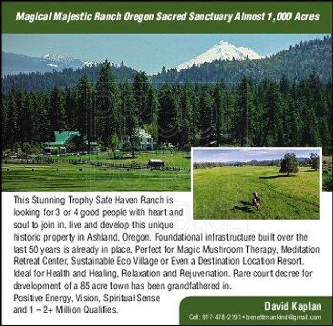 PDF document image preview