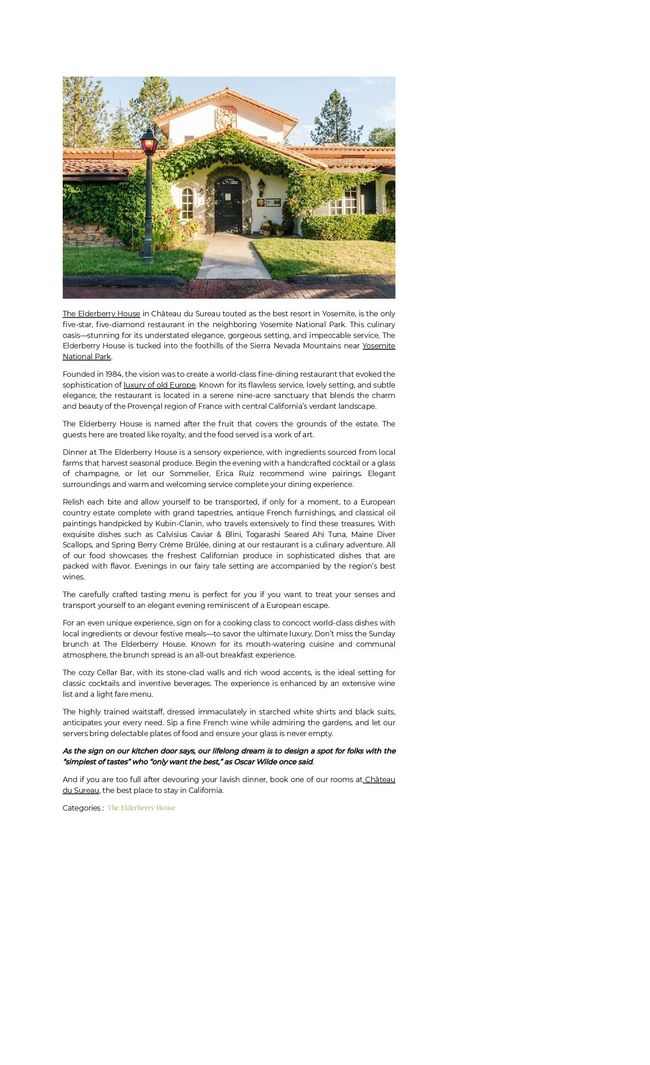 PDF document image preview