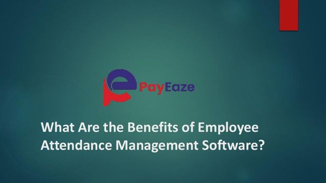 PDF document image preview