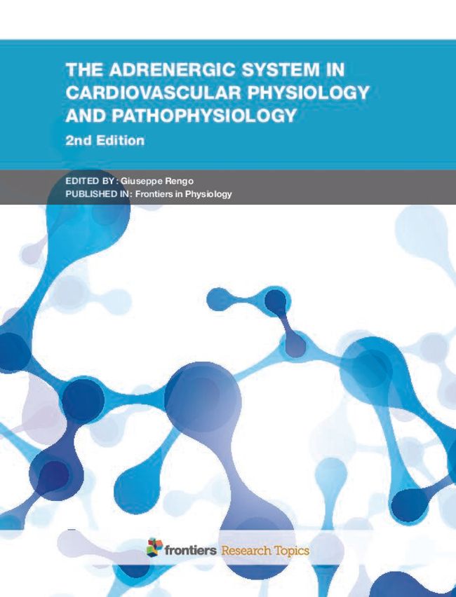 PDF document image preview