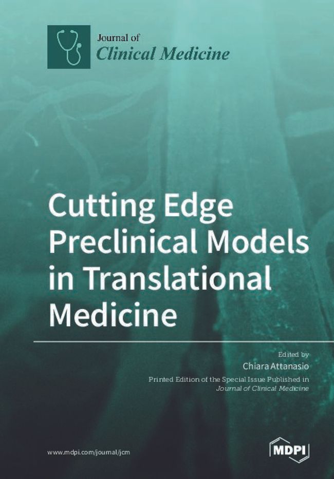 PDF document image preview