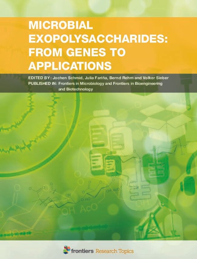 PDF document image preview