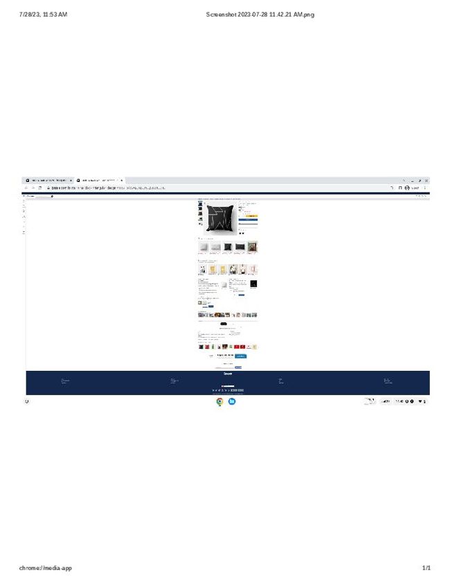 PDF document image preview