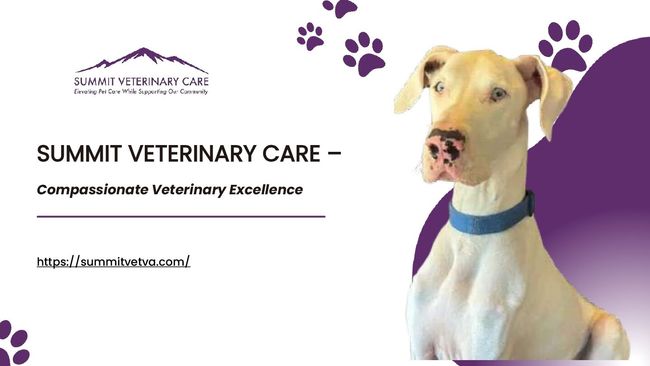 PDF document image preview