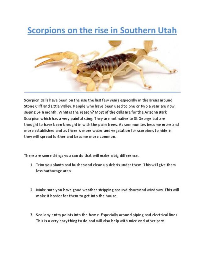 PDF document image preview