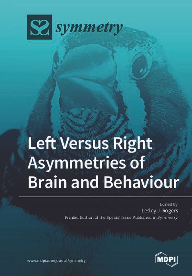 PDF document image preview