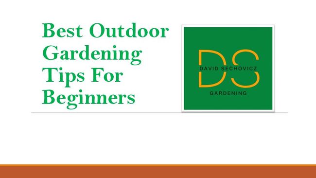 PDF document image preview