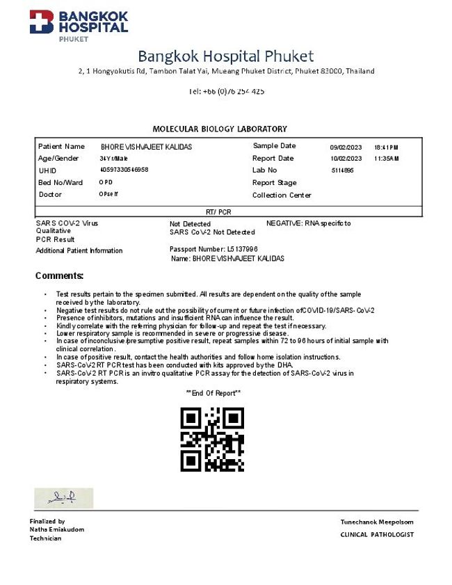 PDF document image preview