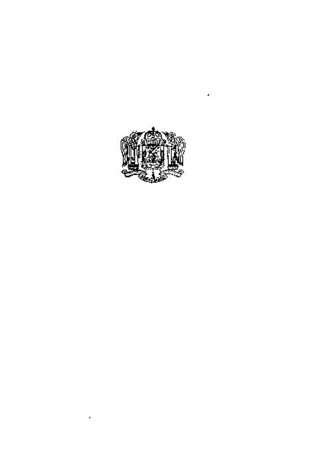 PDF document image preview