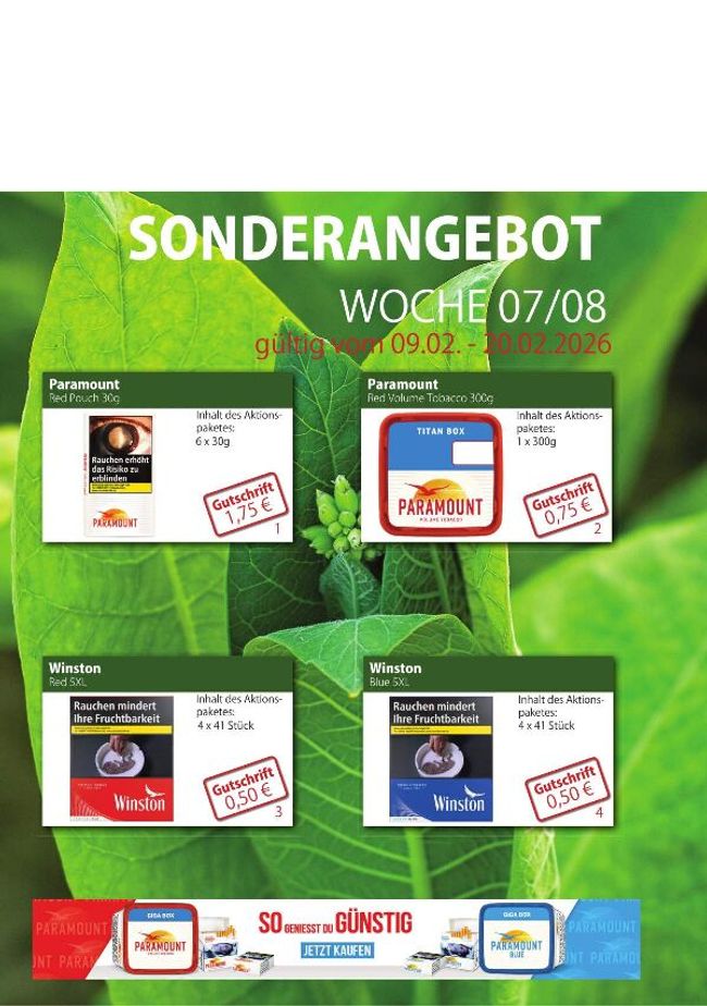 PDF document image preview