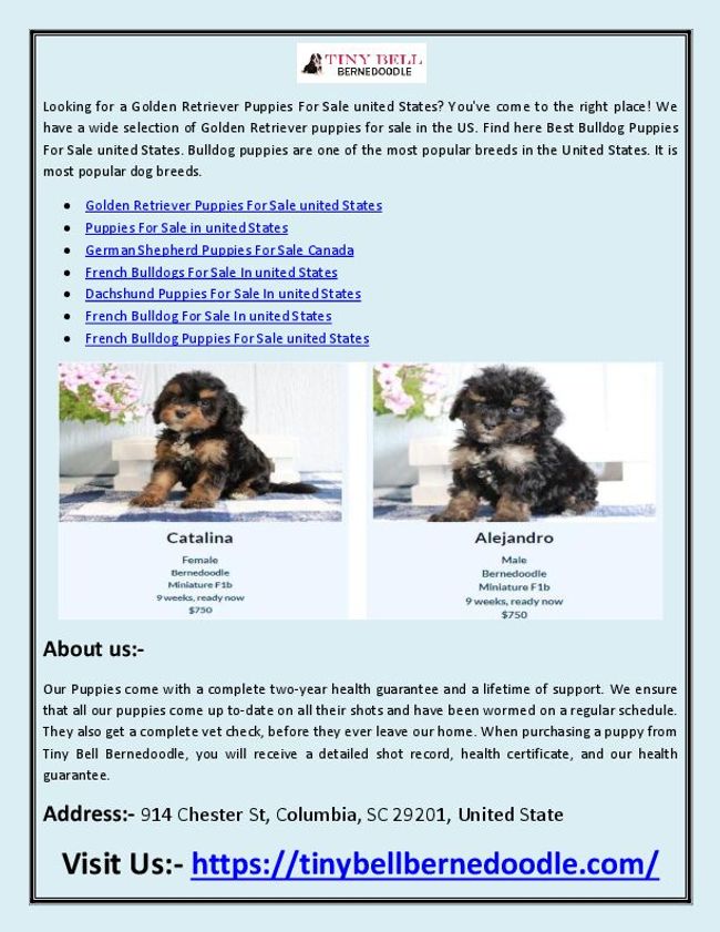 PDF document image preview