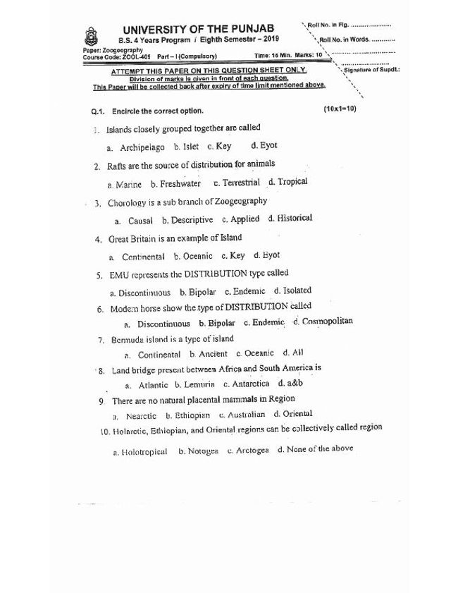 PDF document image preview