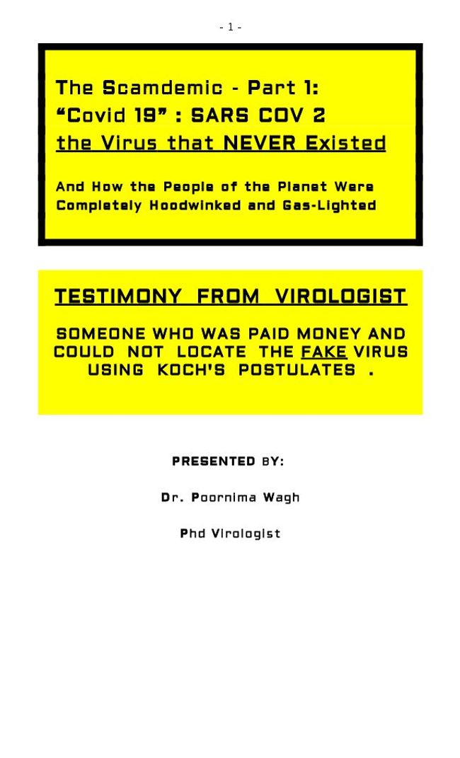 PDF document image preview