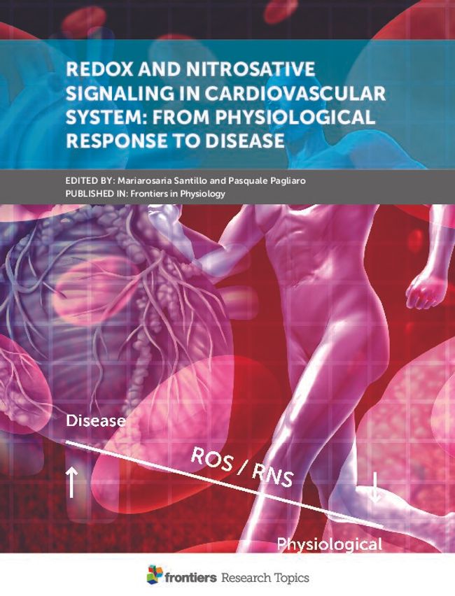 Visualização da imagem do documento PDF