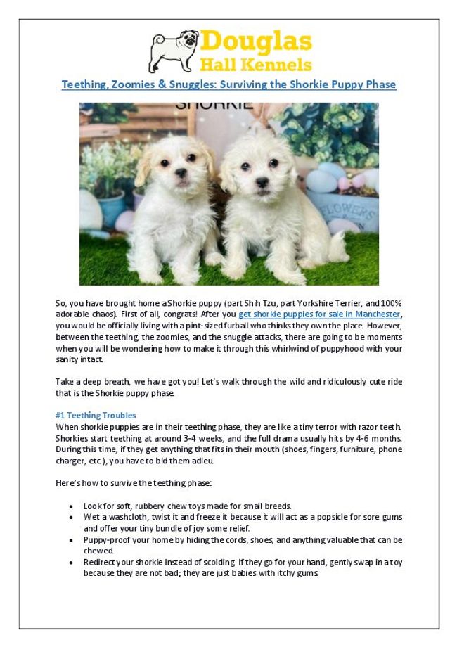PDF-Dokument vorschau