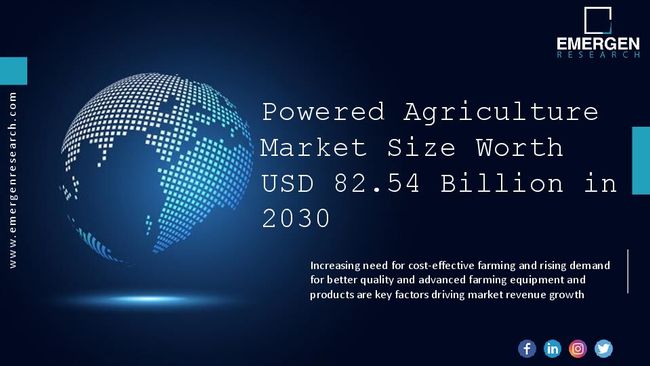 PDF document image preview