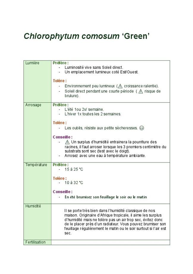 PDF document image preview