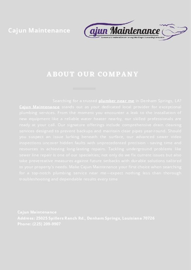 PDF document image preview