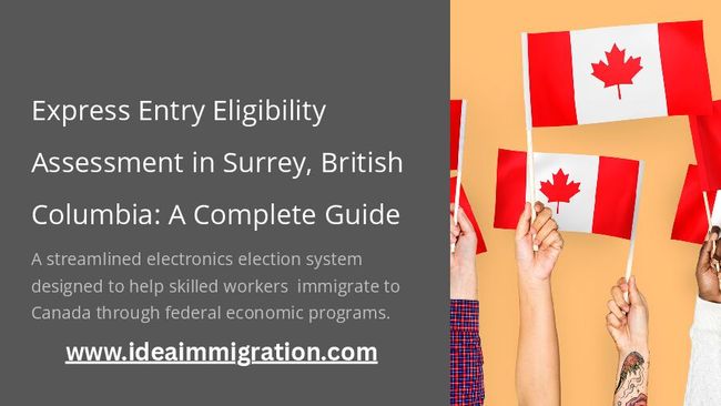 PDF document image preview