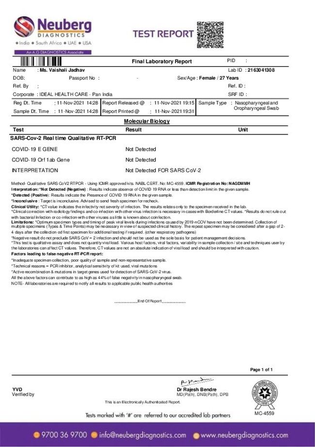 PDF document image preview