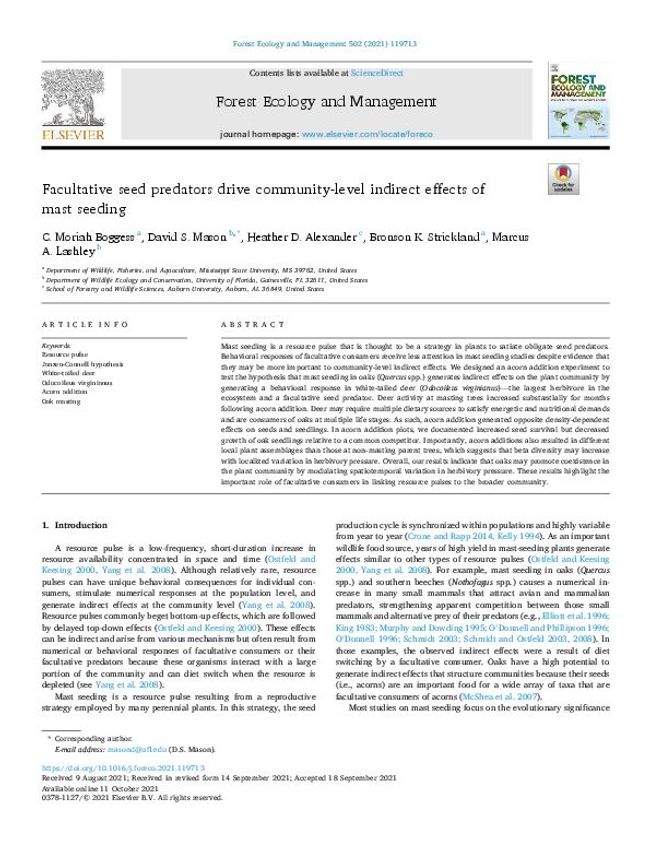 PDF document image preview