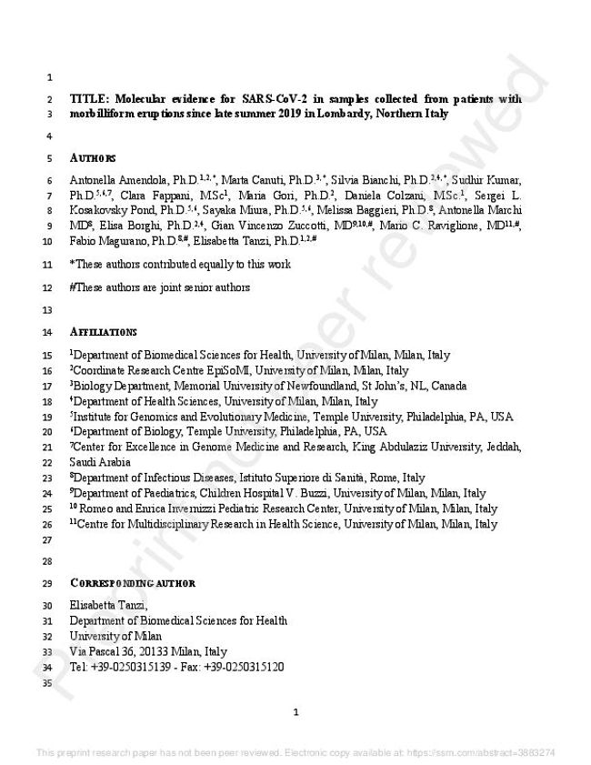 PDF document image preview