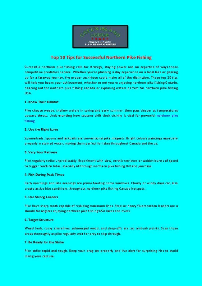 PDF document image preview