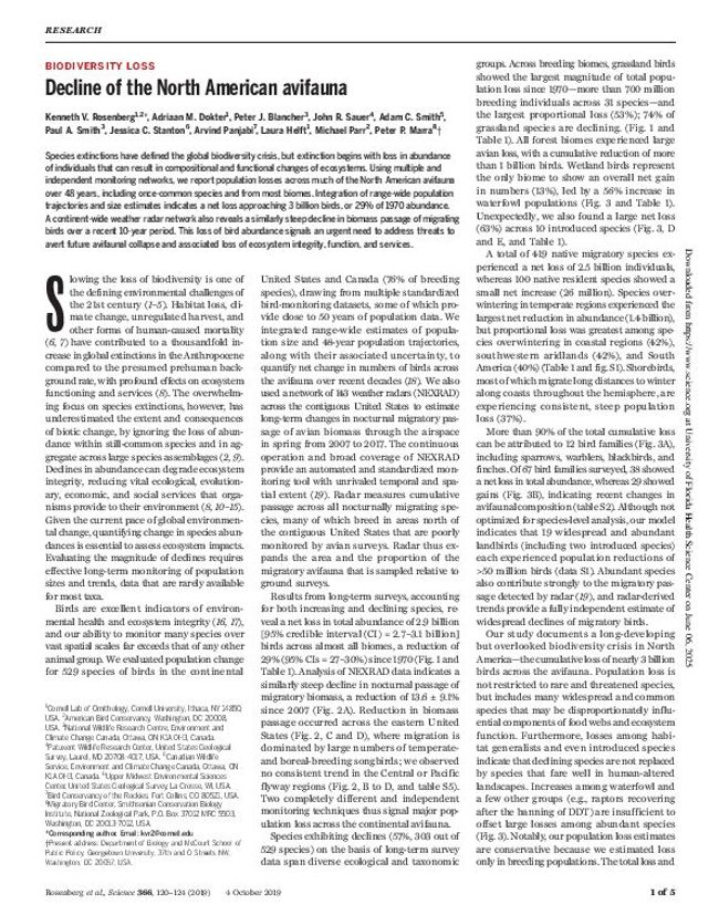 PDF document image preview